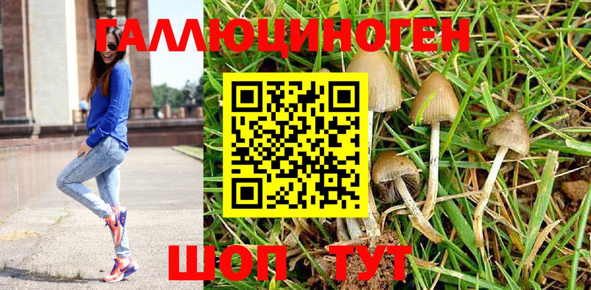 Галлюциногенные грибы Psilocybe Шебекино